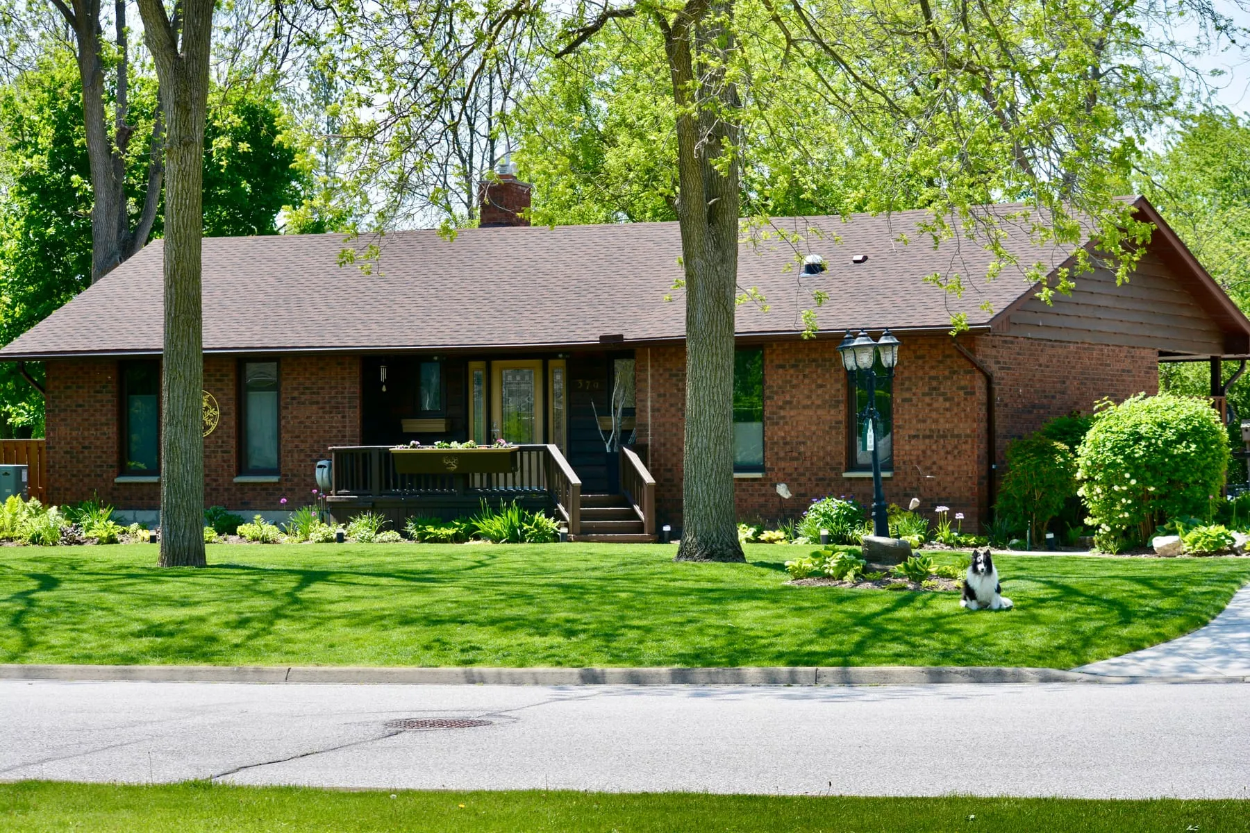 Carol's home practice at 379 Gem Avenue, Petrolia — a red-brick ranch with a wooden front porch, mature trees, and her Sheltie Molly resting on the lawn
